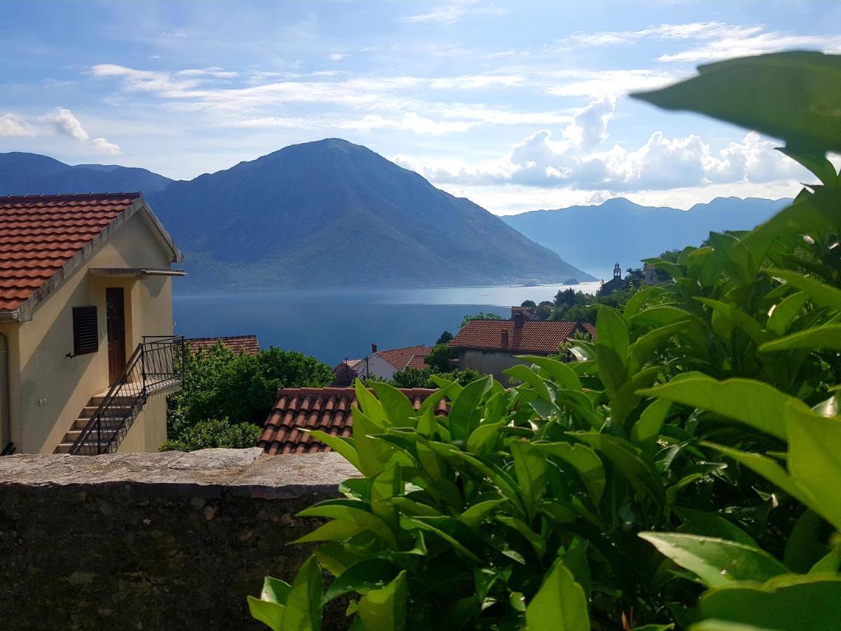 Guest House Maza Kotor Kültér fotó