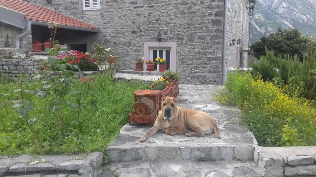 Guest House Maza Kotor Kültér fotó