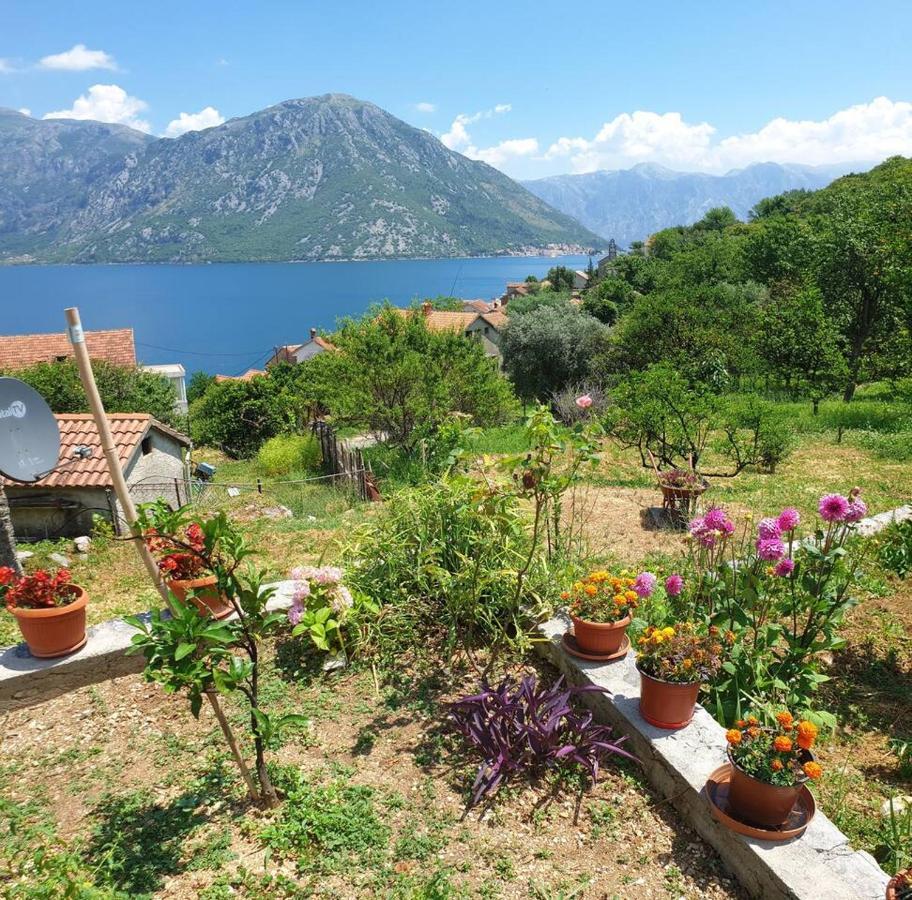 Guest House Maza Kotor Kültér fotó