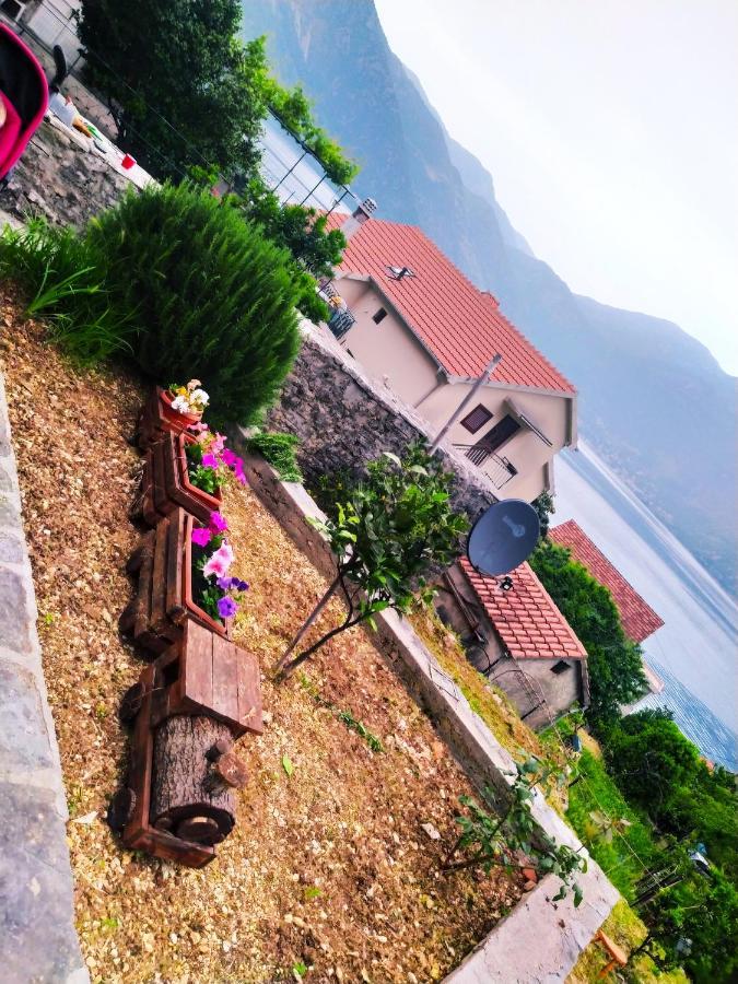 Guest House Maza Kotor Kültér fotó